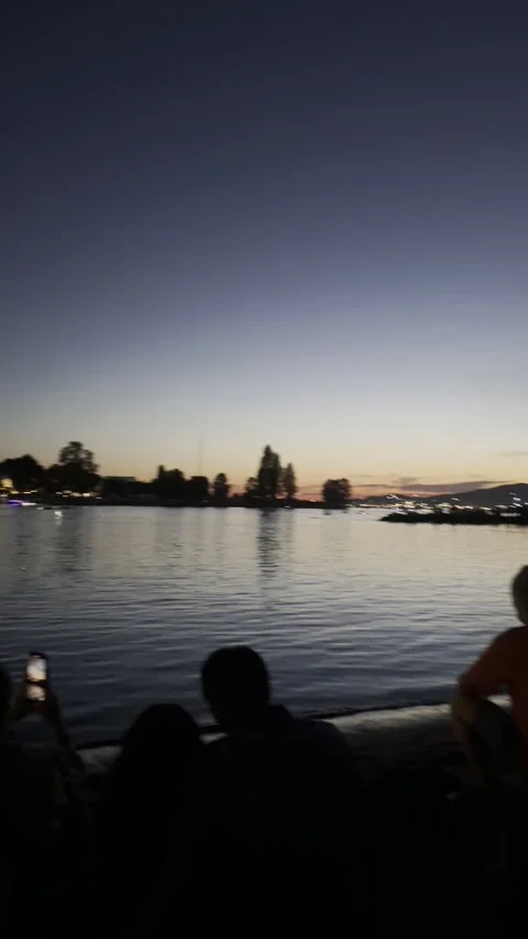 Crowd admiring fireworks at beach Stock Footage 289802394