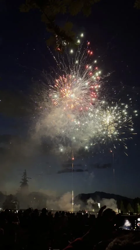 Crowd admiring fireworks Stock Footage 289802392