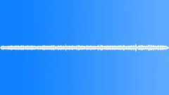 Crowd ambience, voices in restaurant. Sound Effect