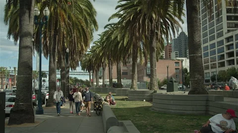 Crowd and palm trees in san francisco Stock Footage 44943650