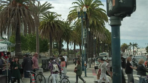 Crowd and palm trees in san francisco Stock Footage 44944202