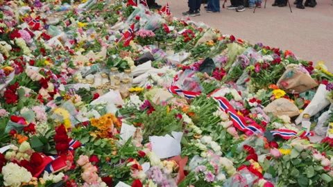 Crowd and Press at Oslo Royal Palace Memorial for King Harald V Stock Footage 343894315