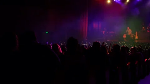 Crowd Of Audience Simultaneously Clapping While Watching Live Band Concert Stock Footage 159776280