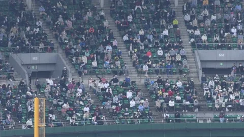 Crowd at Baseball Stadium During Pandemic Stock Footage 154483201
