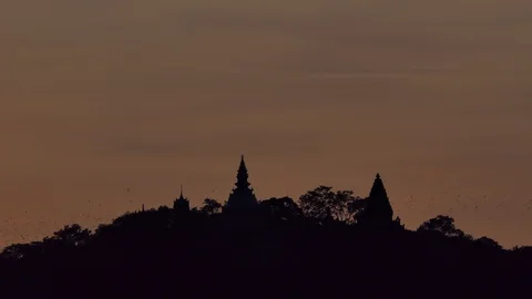 Crowd of bat flying on black sky. Stock-Footage 118094749