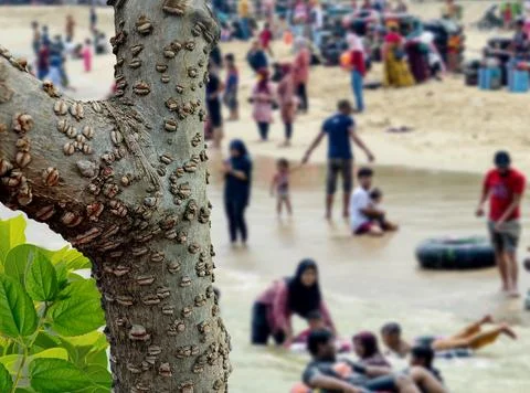 Crowd on the beach Stock Photos