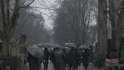A crowd of black umbrellas. 4K Stock Footage 147988420