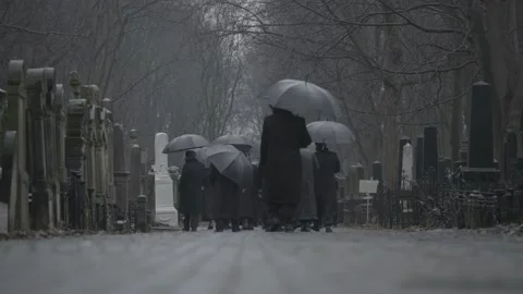 A crowd of black umbrellas at the cemetery. 4K Stock Footage 147987754