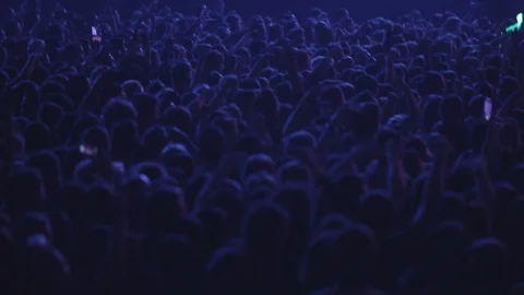 The crowd is chanting at the concert Stock Footage 93516294
