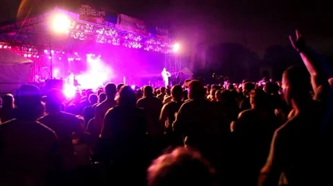 Crowd Cheering at concert Stock Footage