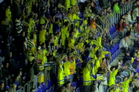 Crowd cheering Vidéo 87244