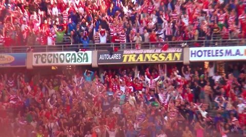 Crowd Cheering at Goal Video stock 33059964
