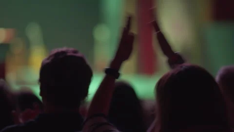 Crowd Clapping Hands at a Live Concert 库存影片 335457895