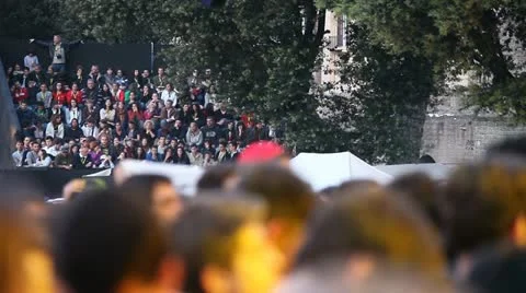 Crowd at concert Stock Footage 11060824