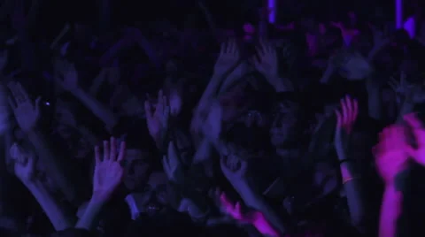 Crowd at the concert Video stock 52624712