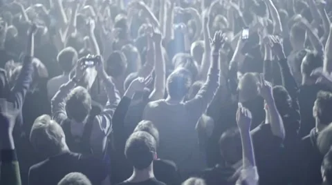 Crowd on the Concert 動画素材 59313037