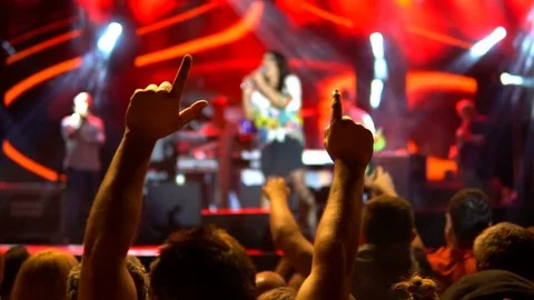 Crowd at concert, hands up dancing. Public concert, no ticketing event Stock Footage 81259014