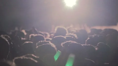 Crowd in Concert Night Stock Footage 45514691