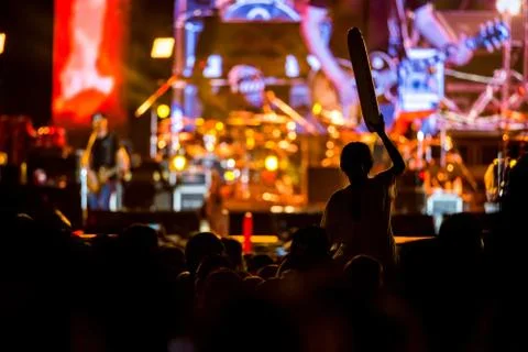 Crowd at a concert Stock Photos