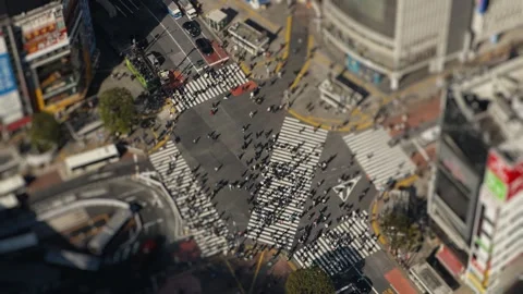 Crowd crossing intersection at shibuya scramble crossing tokyo Stock Footage 326058993
