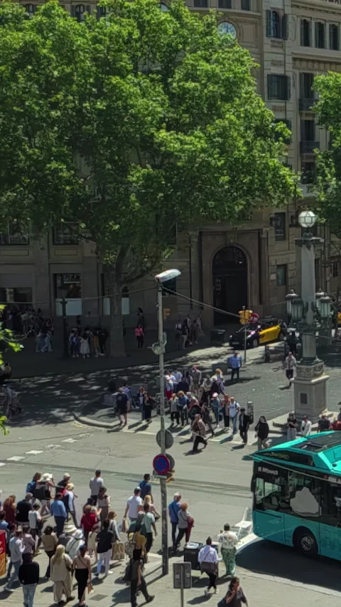 Crowd crossing a zebra crossing at the intersection of Rambla de Catalunya and 動画素材 240988777