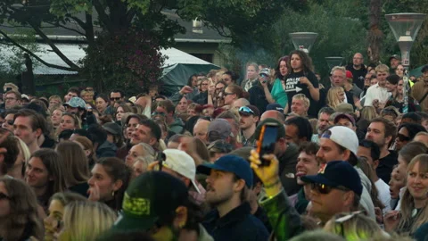Crowd dances and sings at open air music concert in Christiania, Copenhagen Stock Footage 344983750