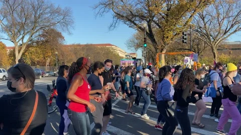 Crowd dances outside White House after Joe Biden's win, Washington DC Stock Footage 156414956