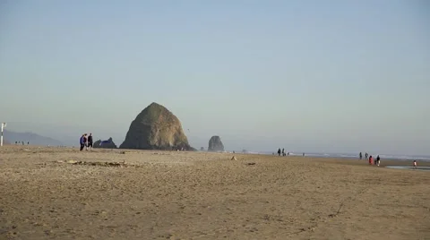 Crowd in Distance Walking on the Beach Stock Footage 51990796