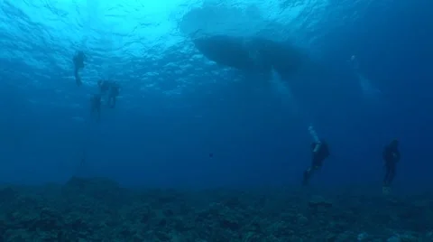 Crowd of Divers Under a Boat Stock Footage 5244597