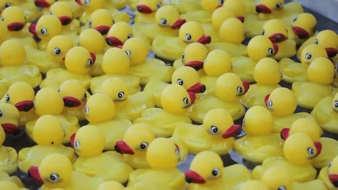 Crowd duck competition  background Stock-Footage 106667037