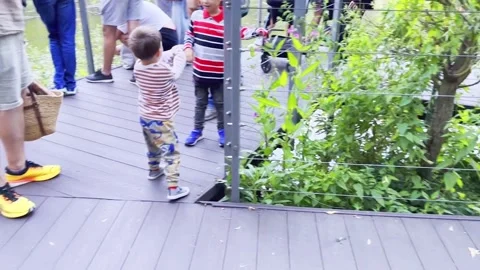 Crowd in eco trail in park Stock Footage 281390913