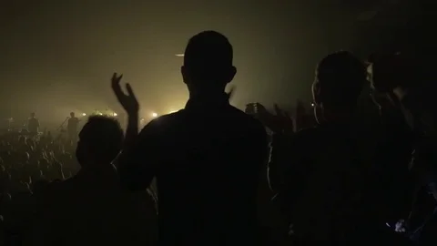 Crowd at event Stock Footage 85304814