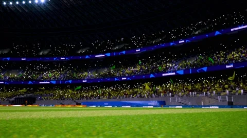 Crowd fan with flags around night soccer arena waving flashlights Stock Footage 155676725