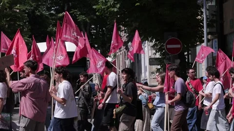 Crowd with flags walking on the streets on a parade and peacefull protest Stock Footage 334166176