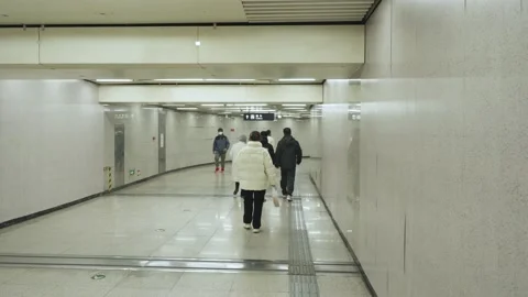 Crowd flow in subway pedestrian passage Stock Footage 235573503