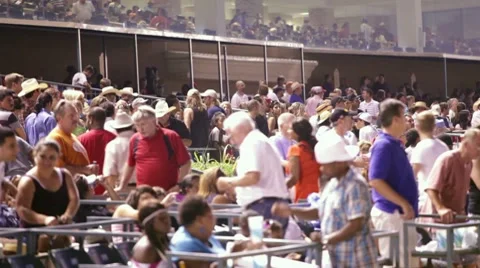 Crowd Stock Footage 7733965