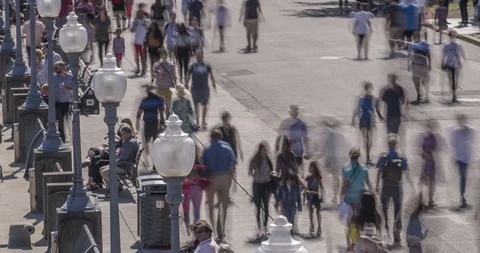 Crowd Stock Footage 116756233