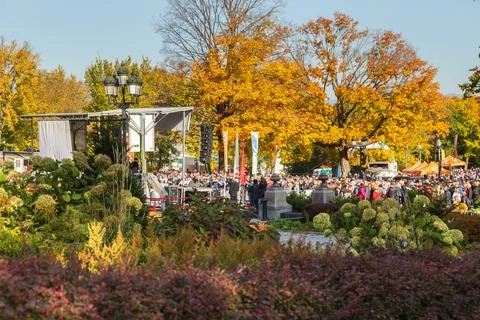 Crowd gathered in front of a stage Stock Photos