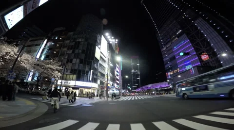 Crowd gathering at Tokyo station's arcade for cherry blossoms. Vídeos de archivo 61530437