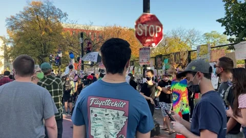 Crowd gathers in front of White House to celebrate Joe Biden's win, DC Stock Footage 156415004