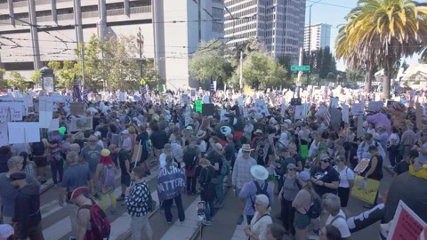 Crowd Gathers for No Kings Stock Footage 319502944