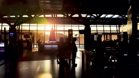The crowd in the hall of rail station. Stock Footage 223734238