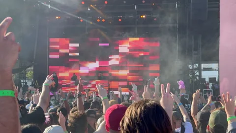 Crowd With Hands Up In The Air Stock Footage 314250319