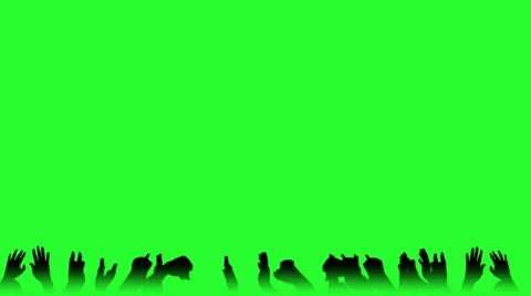 Crowd - Hands Clapping - Chearing - Green Screen 01 Stock Footage 55316276
