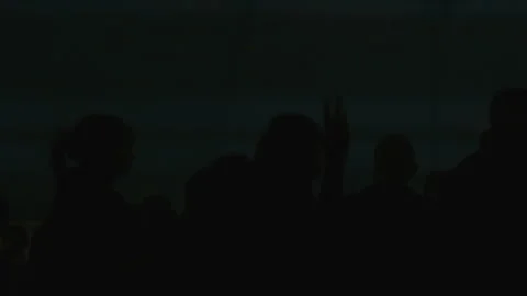 Crowd has fun at concert event show feamale silhouette fan Stock-Footage 111839959