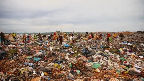 A crowd of impoverished people dig through a city garbage dump for food Vidéo 136555760