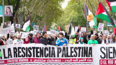 Crowd marching in protest during Pro-Palestine demonstration with banner Stock Footage 254366658