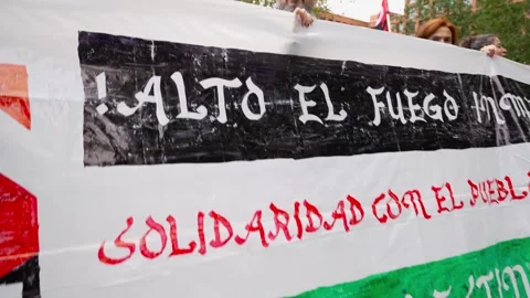 Crowd marching in protest during Pro-Palestine demonstration with banner_4 库存影片 254366870