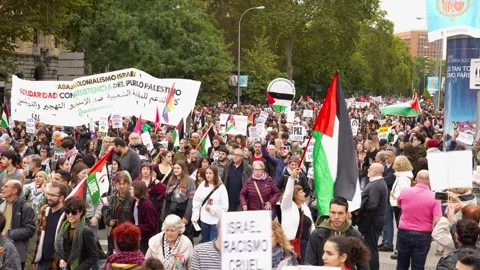 Crowd marching in protest during Pro-Palestine demonstration_3 스톡 동영상 254367112