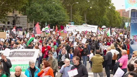 Crowd marching in protest during Pro-Palestine demonstration_2 Stock Footage 254367133